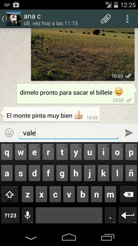 whatsapp mensaje inicial