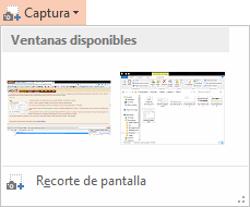 Insertar captura