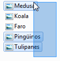 archivos sin seleccionar