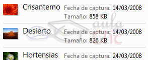 Vista contenido