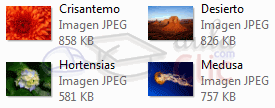 Vista Mosaico