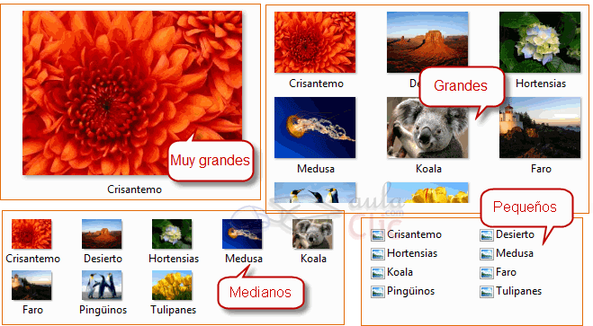 Vistas iconos en diferentes tamaños