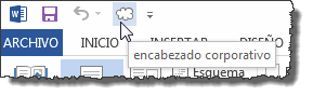 Botón personalizado para macro