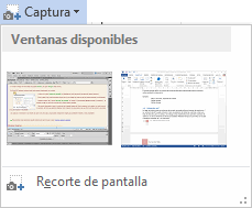 Insertar captura