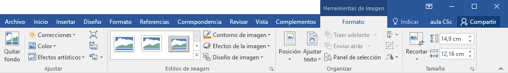 Pestaña formato