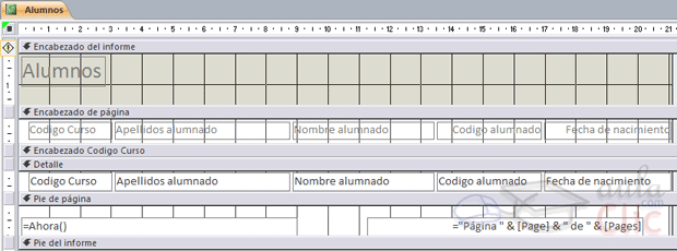 Vista diseño de un informe